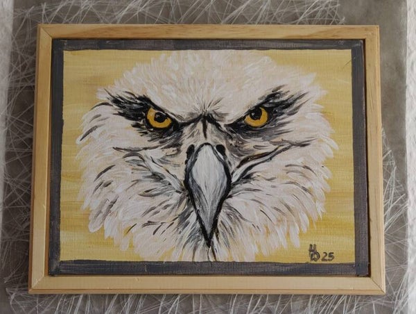 Seeadler Porträt