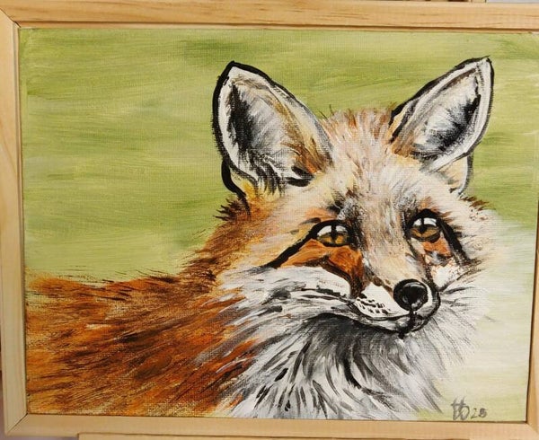 Fuchs Porträt