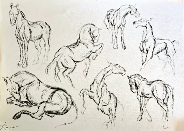 Horse Study