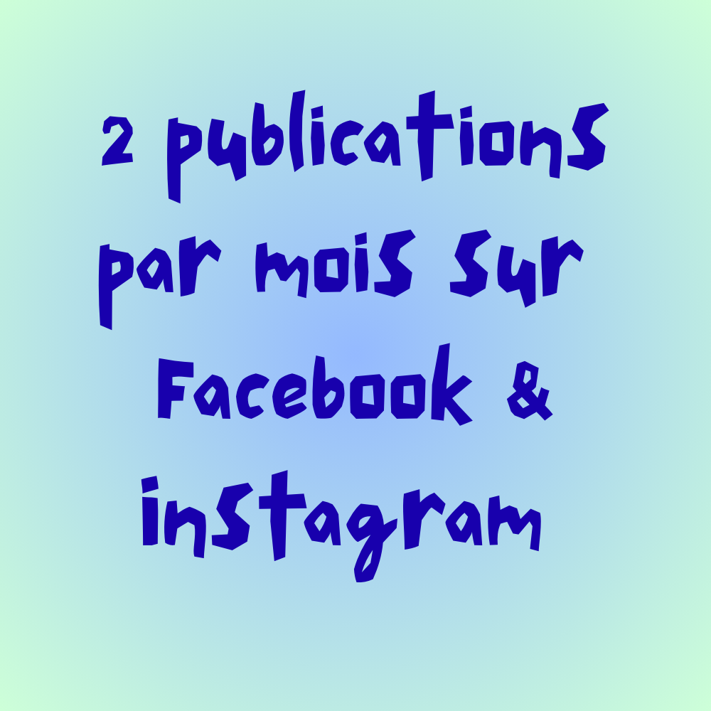 2 publication par mois sur Facebook & Instagram