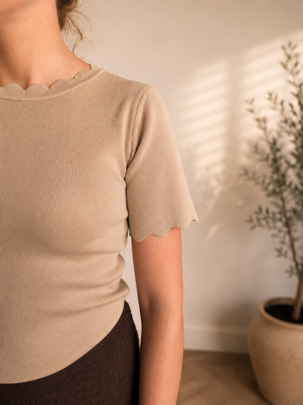 Top | schulprand camel