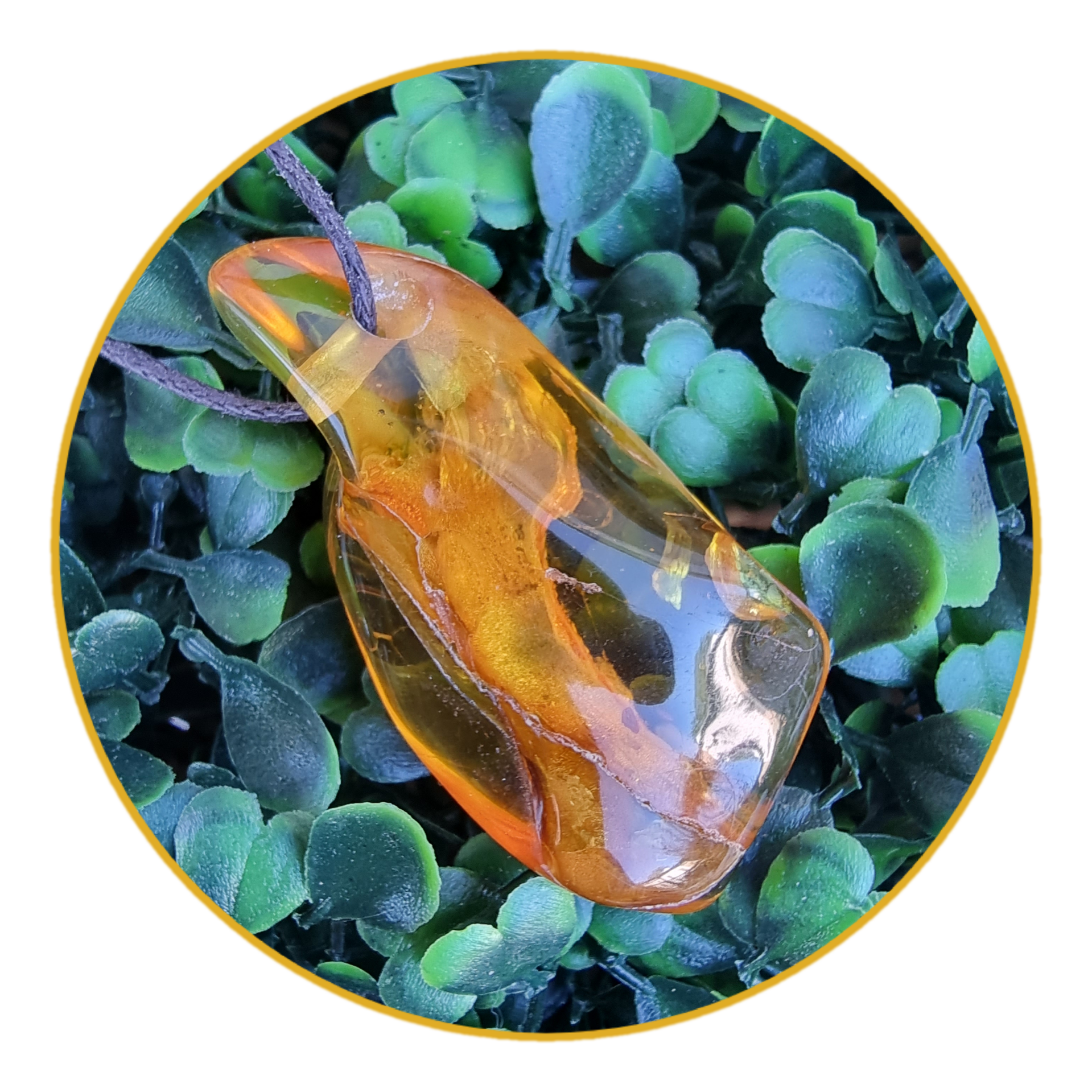 Ambre de la Baltique Pendentif
