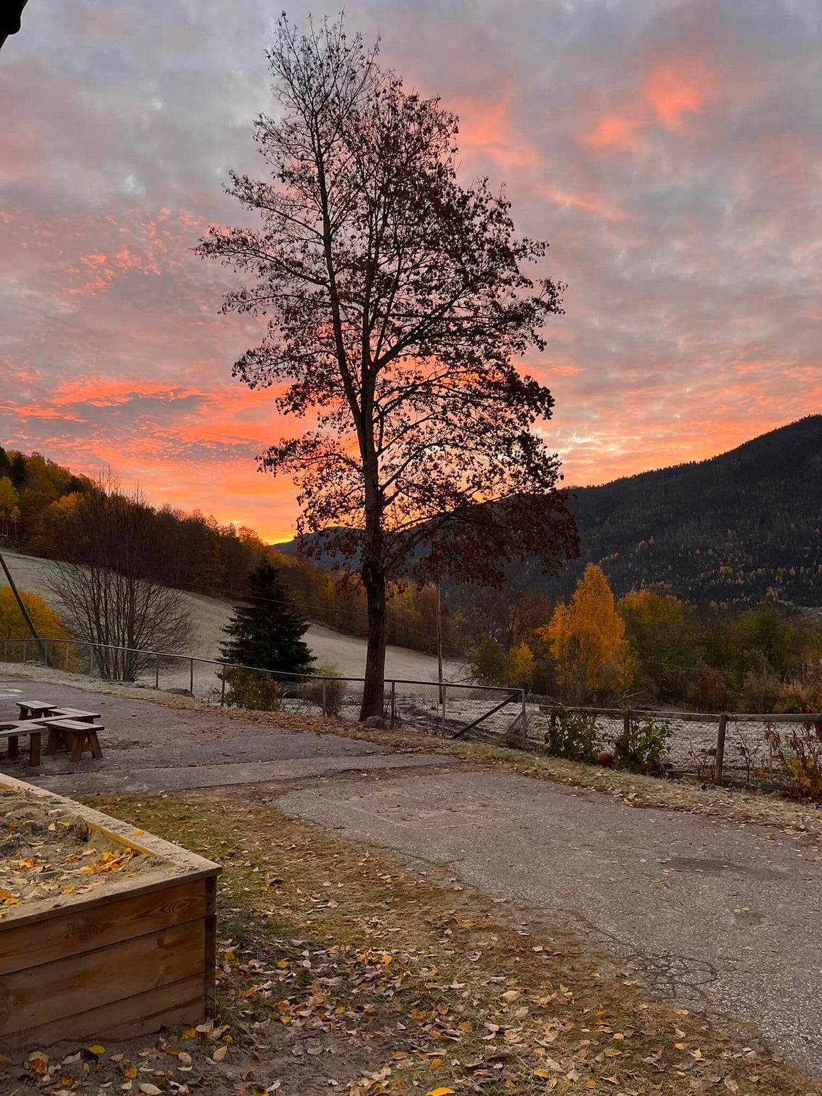 HJARTDAL MONTESSORISKULE STI