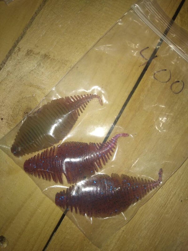 Bellow gills