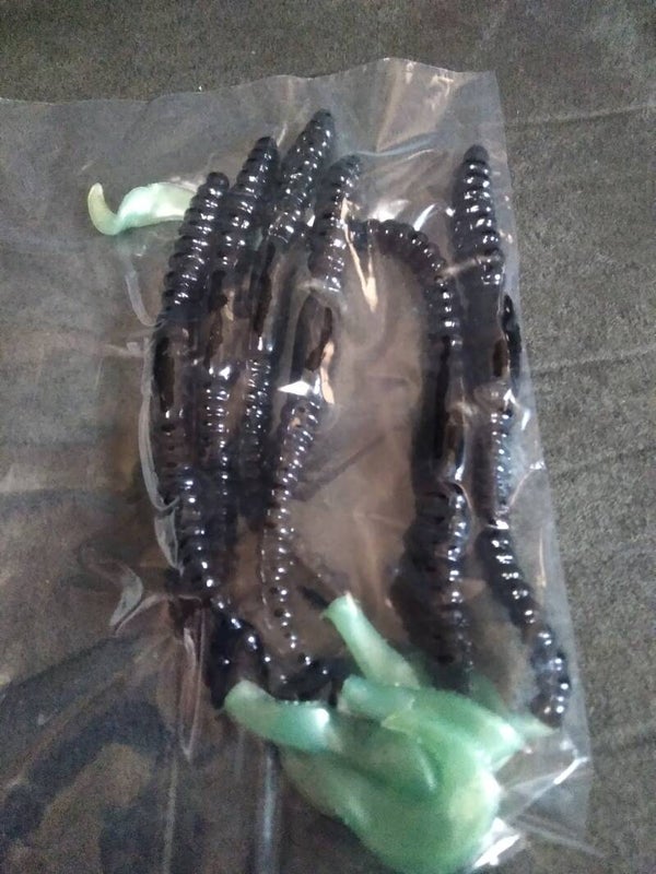 6 inch black worms with curly tail