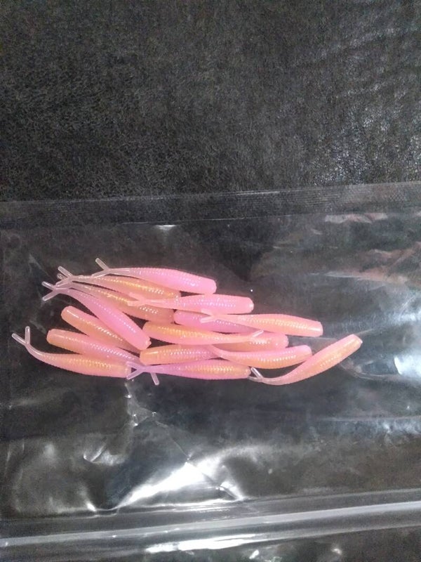 2 inch crappie minnows