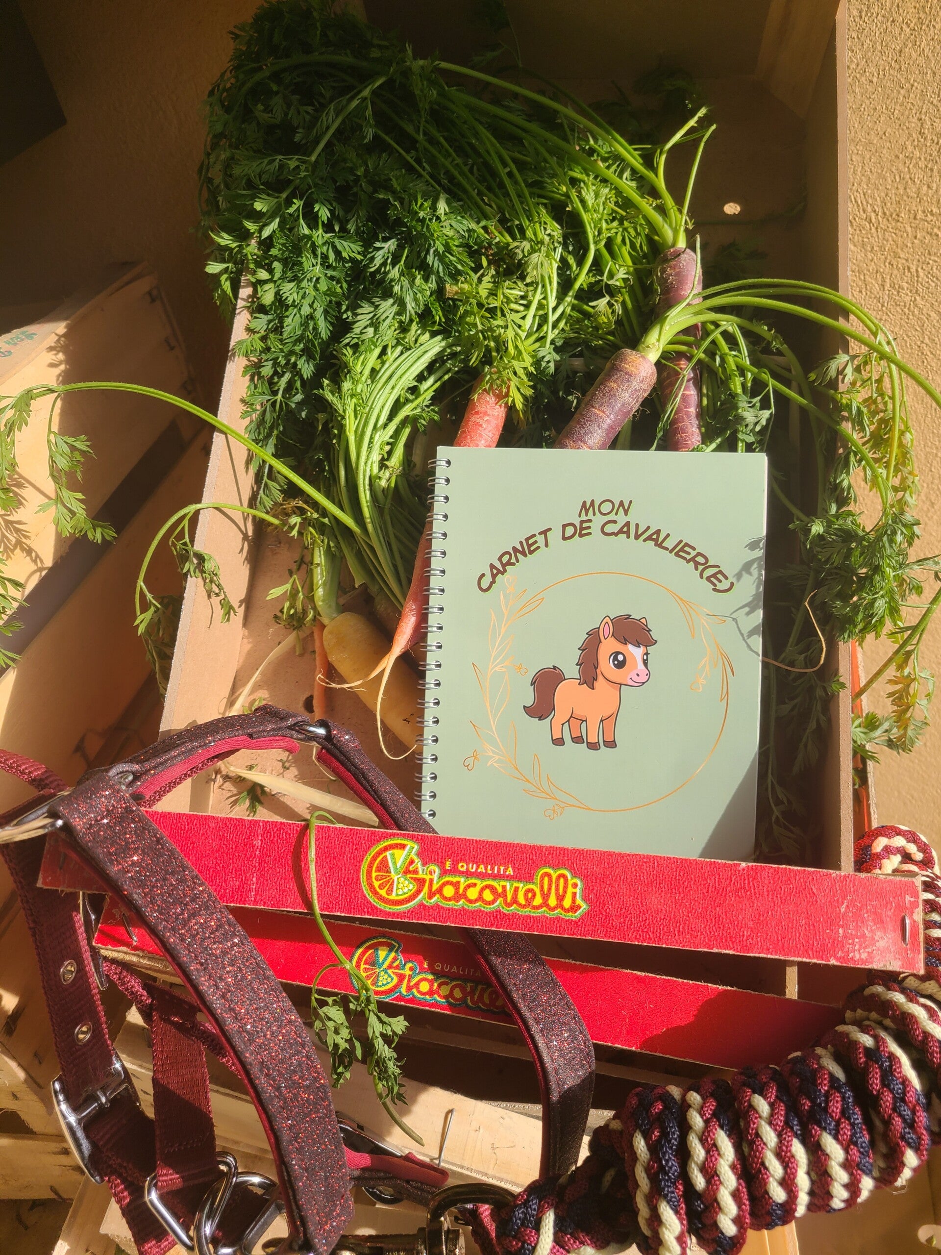 Carnet du petit cavalier