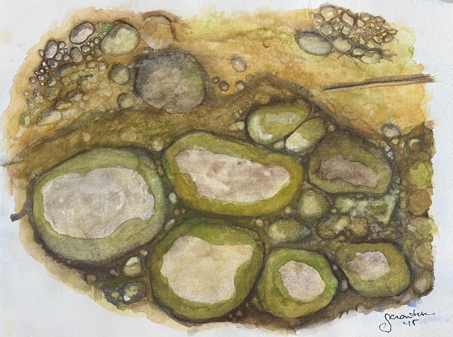 Rocks in a stream  9x12   $129