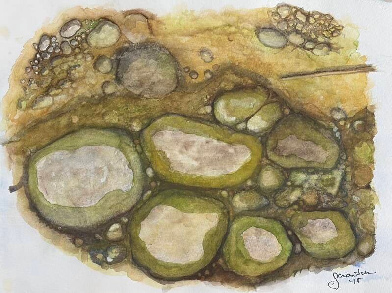 Rocks in a Stream