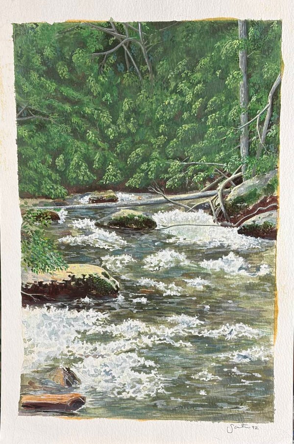 Smokey Mountain Stream