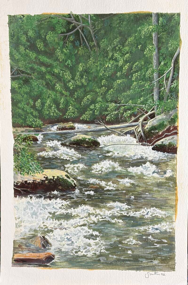 Smokey Mtn Stream NFS Print available