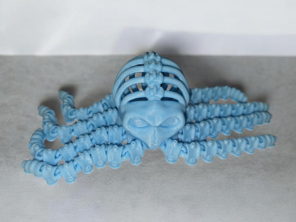 3D Blue Glow In The Dark Octopus Skeleton