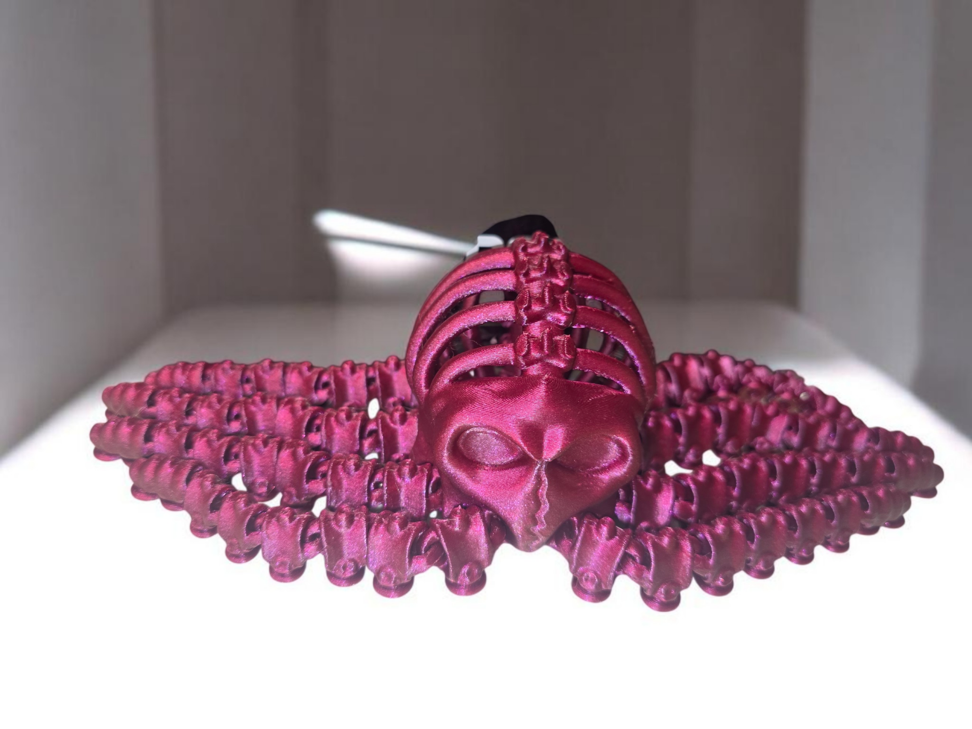 3D Maroon Octopus Skeleton