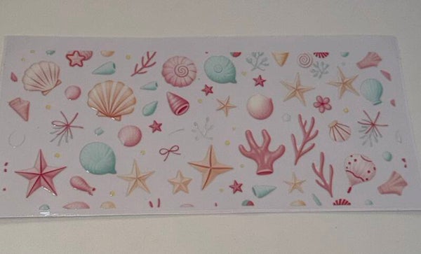Seashells