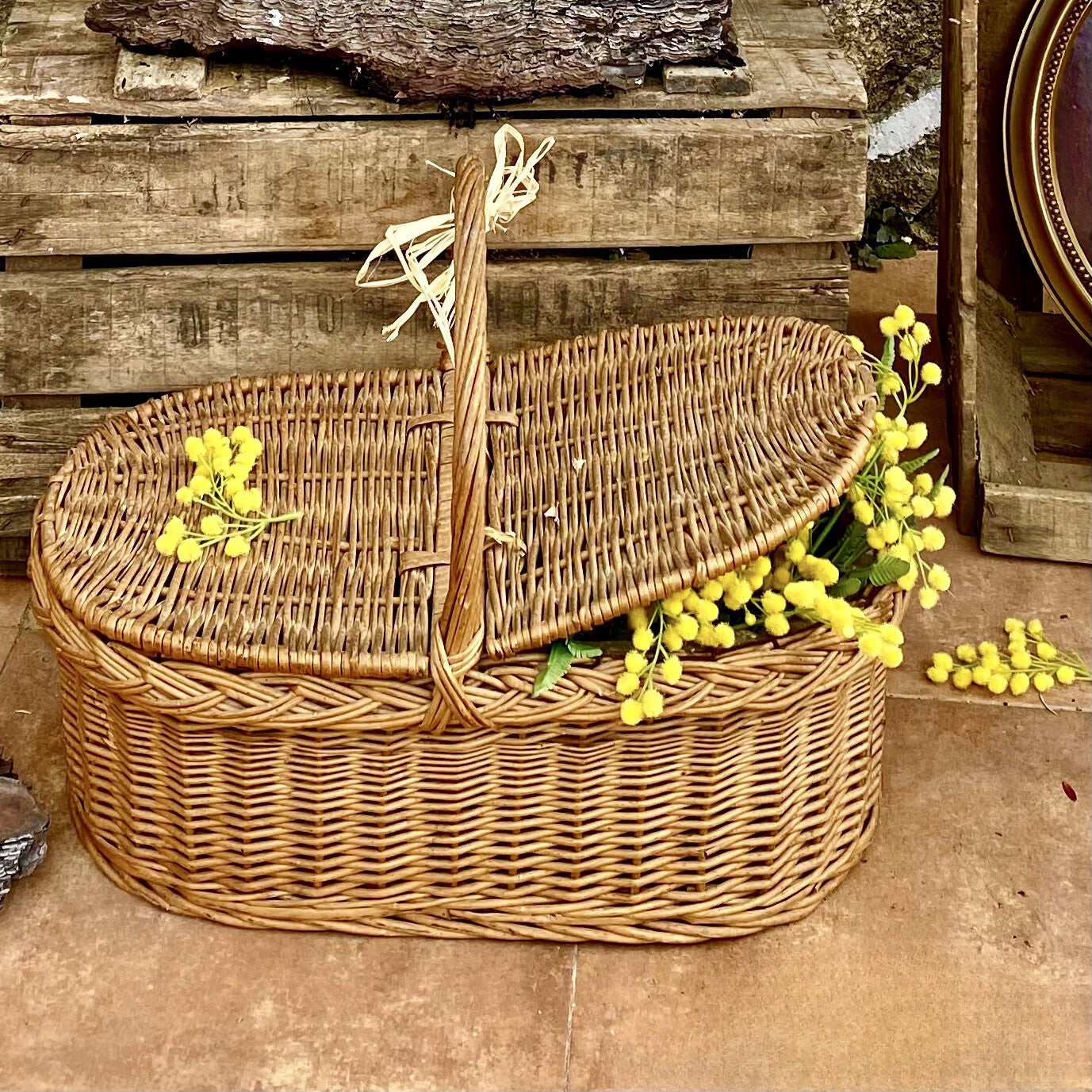 Cesta Jarandilla