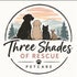 Three Shades of Rescue