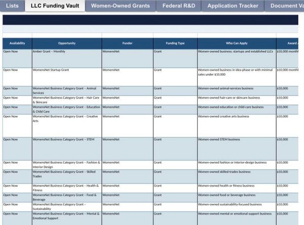Mini LLC Funding Vault