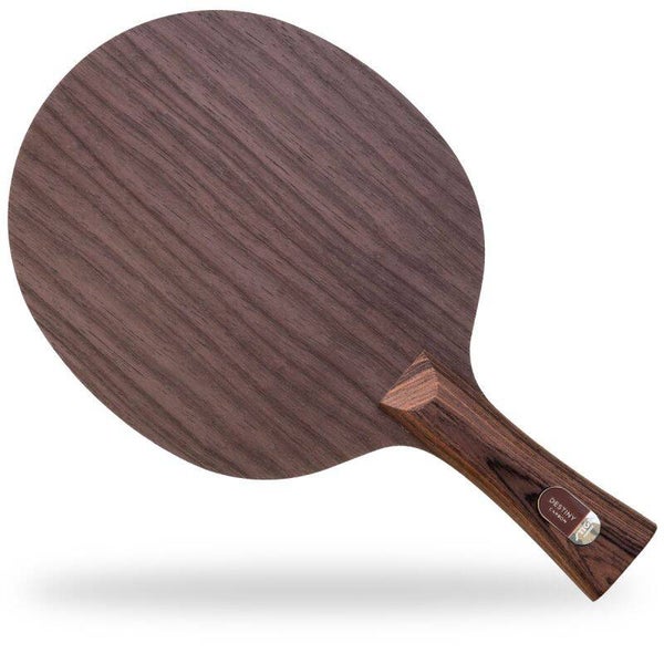 STIGA Holz Destiny Carbon