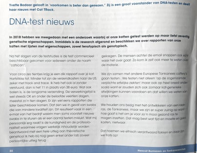 Tonkanees kitten DNA testnieuws