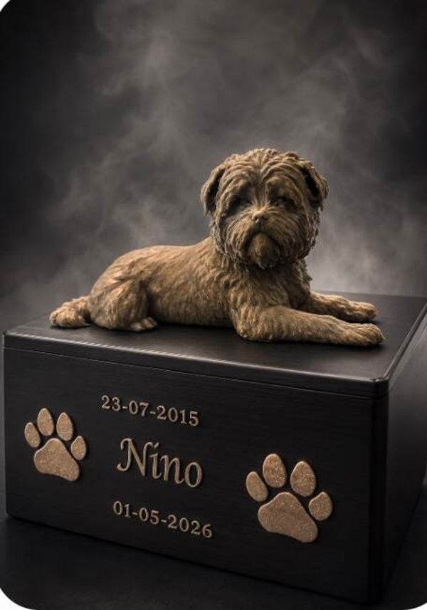 1Urn kistje tot middelmaat hond