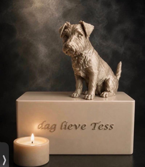 2 Urn kistje  tot middelmaat hond
