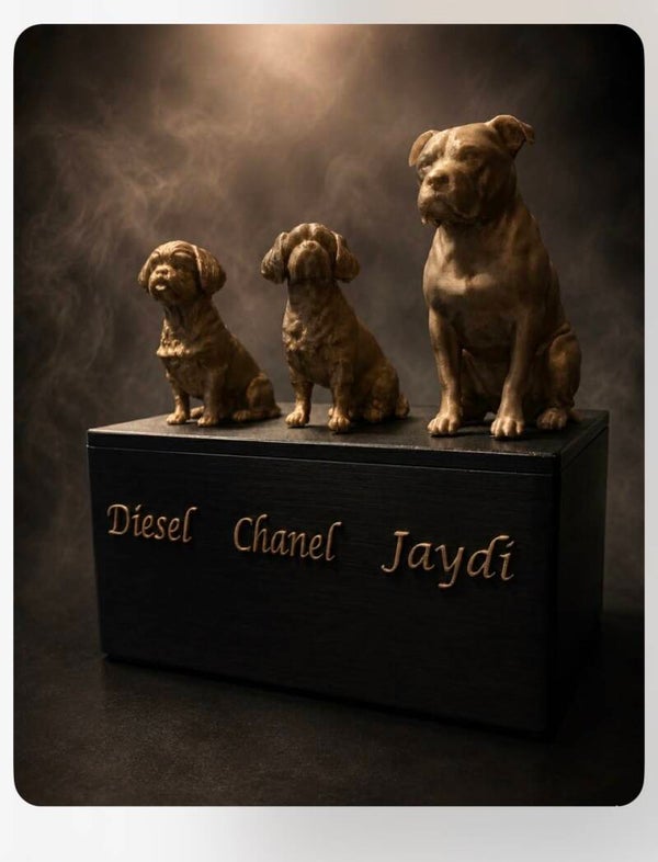 4 urn kistje groot formaat hond