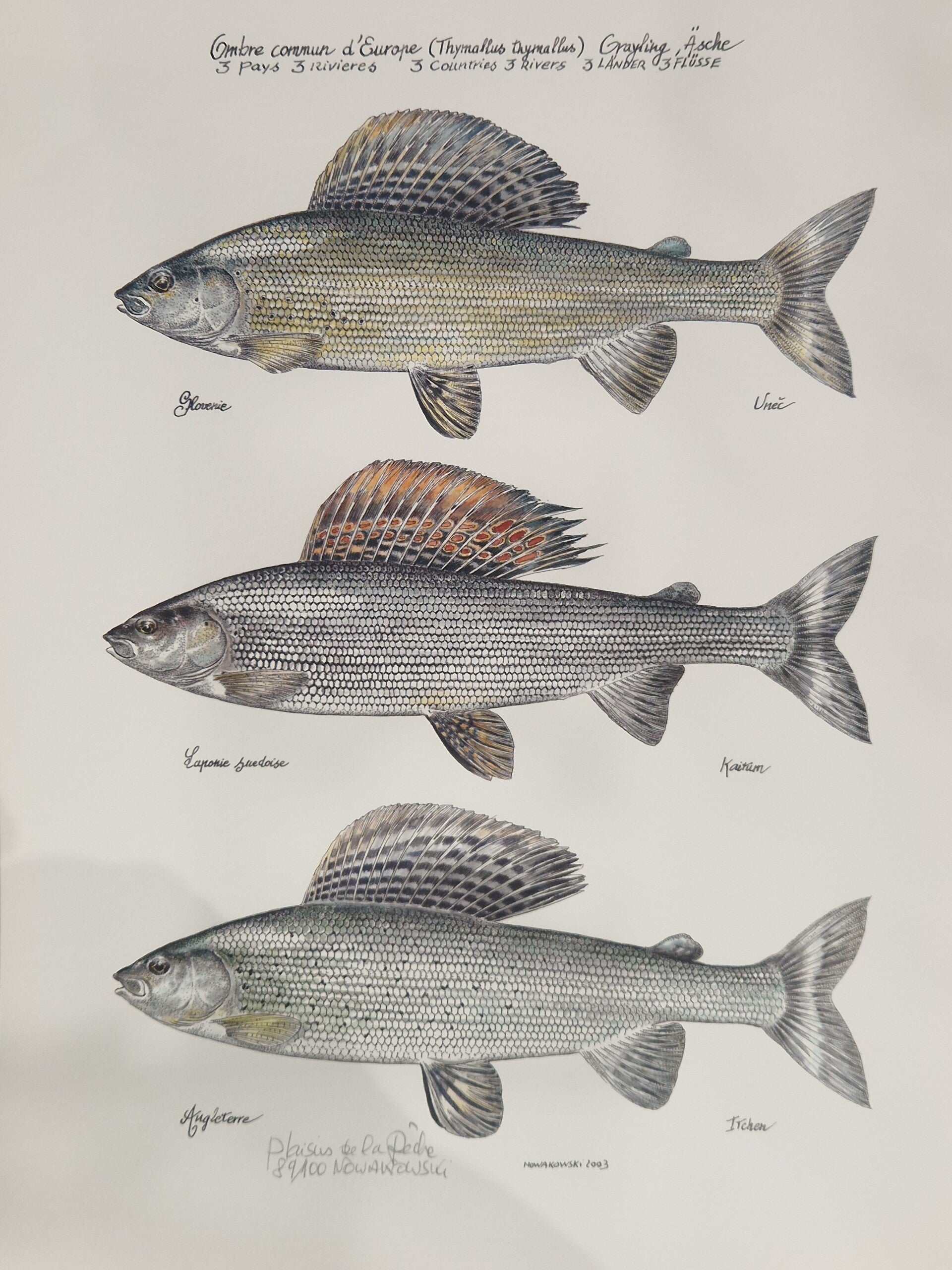 Victor Nowakowski gesigneerde en genummerde litho