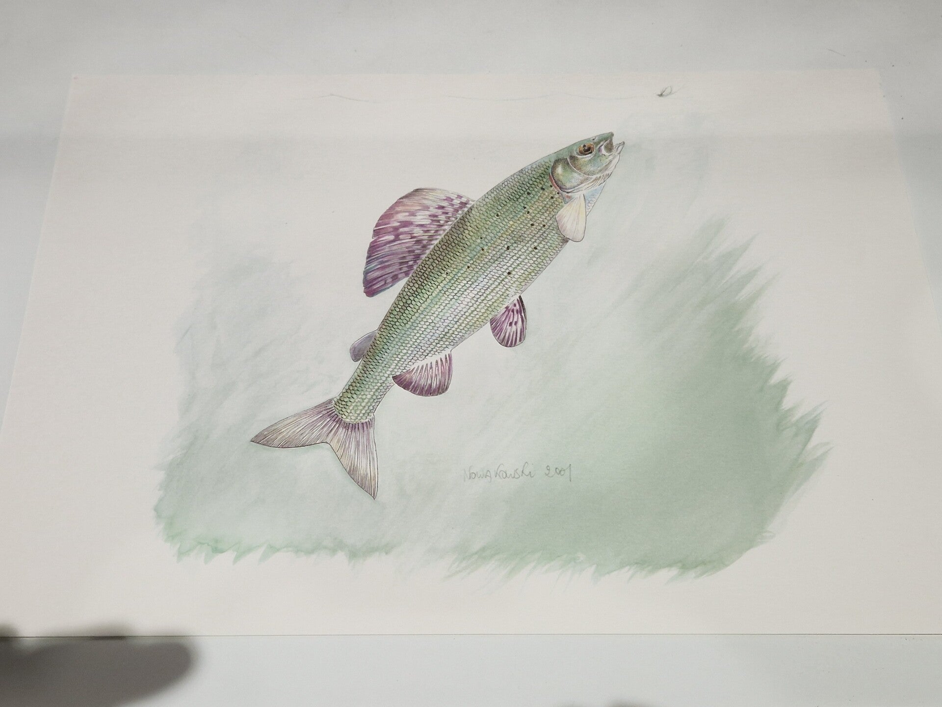 Victor Nowakowski gesigneerd in print , kunst artist