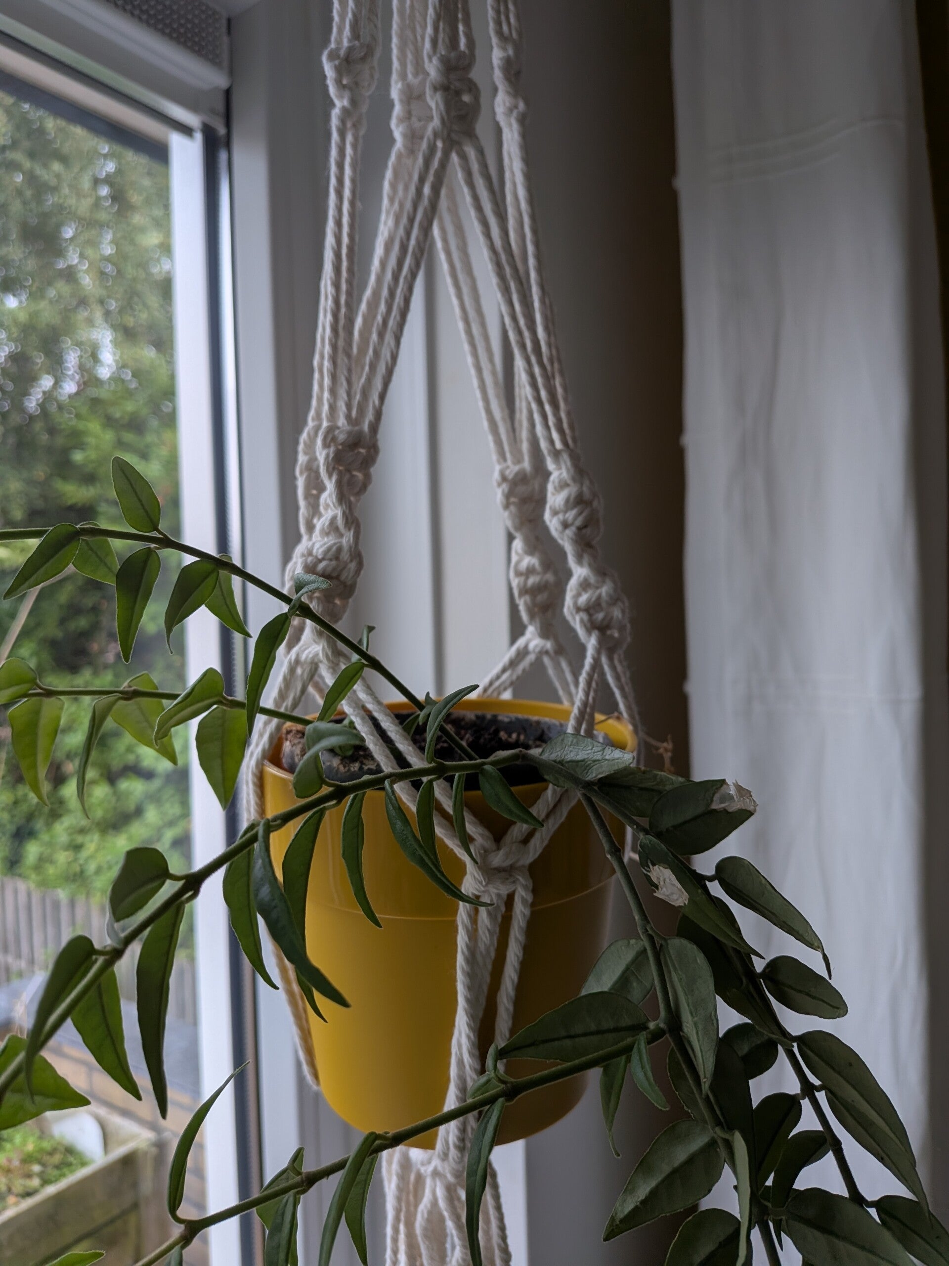 25 september - Zelf een macramé plantenhanger maken?