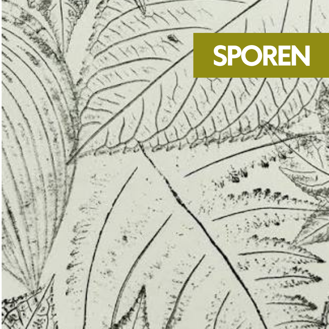 17 Oktober – Sporen