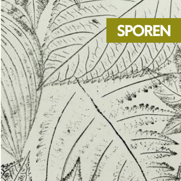 17 Oktober – Sporen