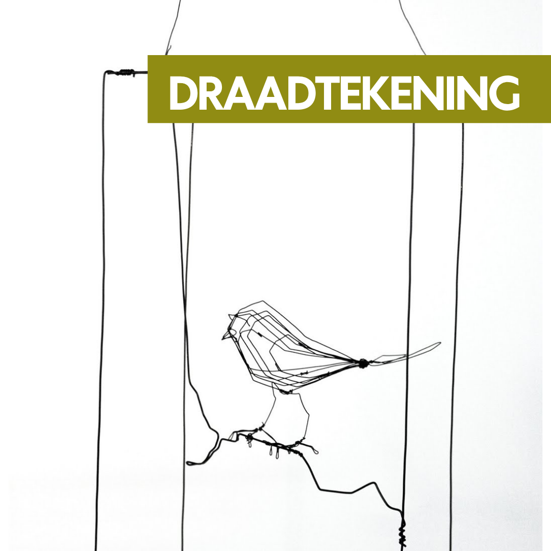 19 november - Draadtekening