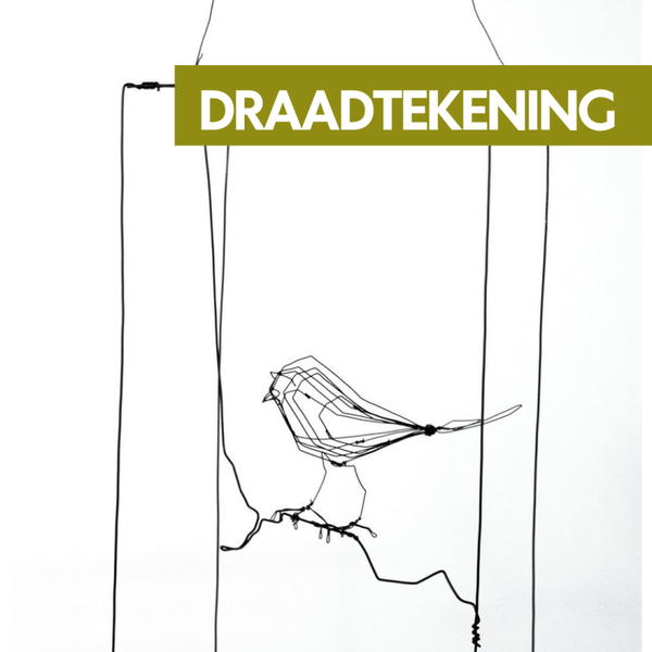 19 november - Draadtekening