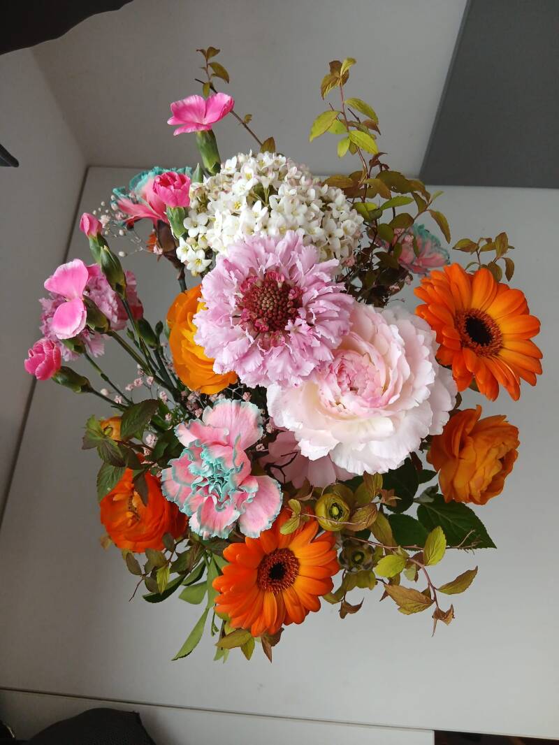 bloemen-ties-standard.jpg