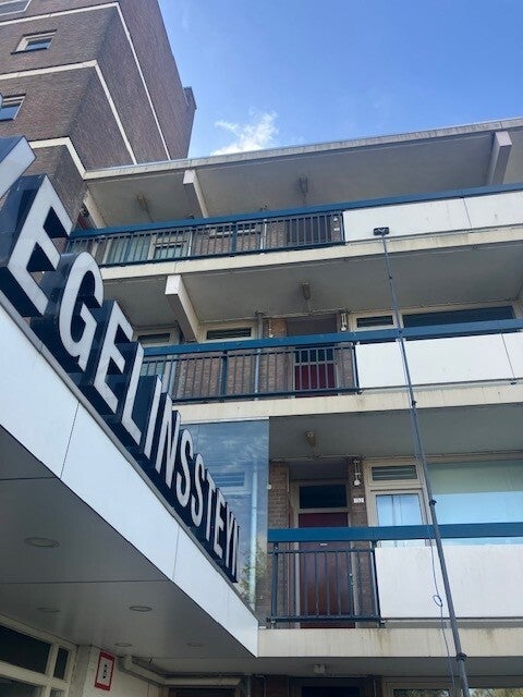 vegelinssteyn-beplating-reinigen