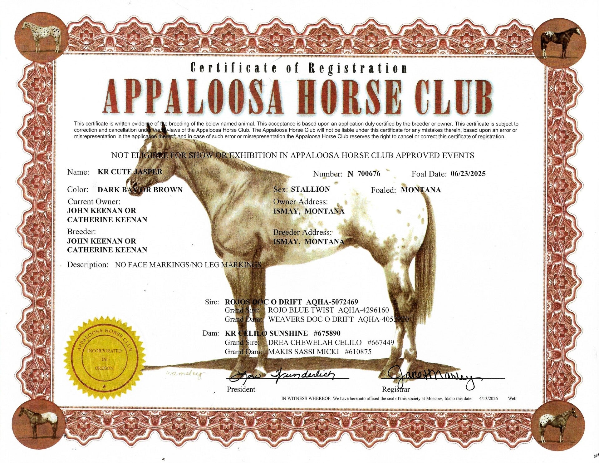 jasper-aphc-registration-standard.jpg