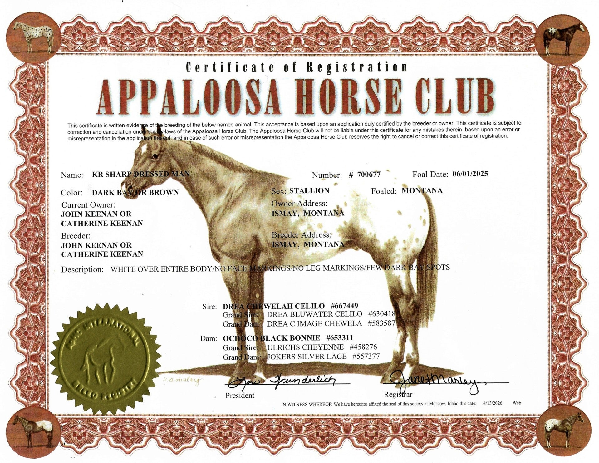 tuxedo-aphc-registration-standard-d553b3.jpg