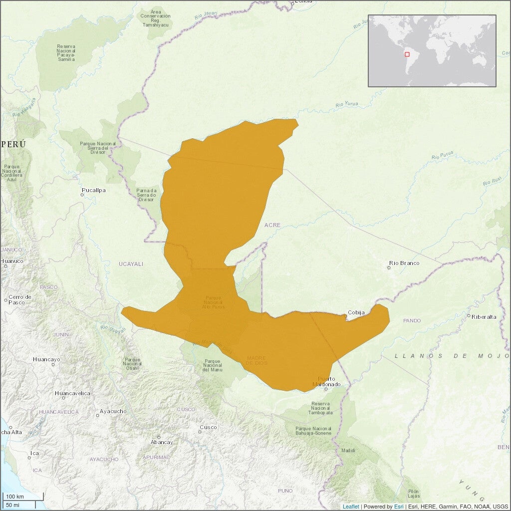 Bearded Emperor Tamarin Map