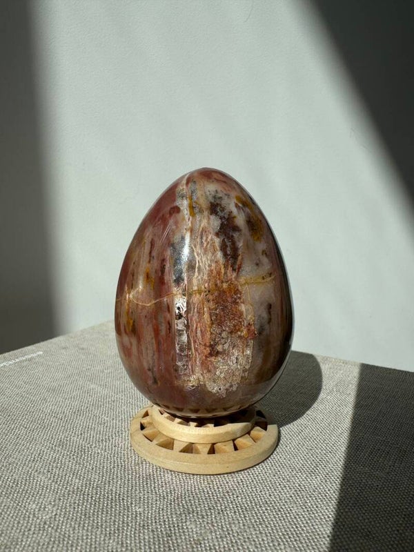 Petrified Wood Egg