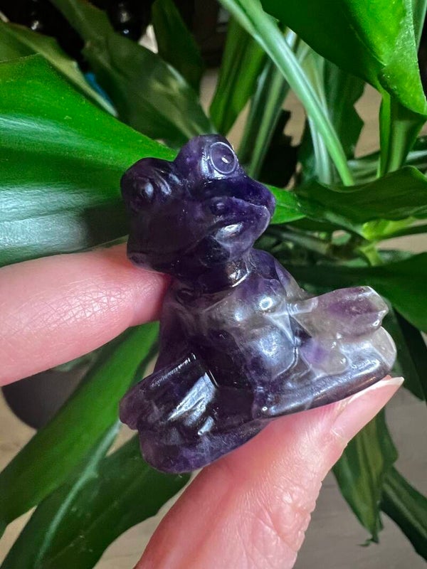 Amethyst Frog