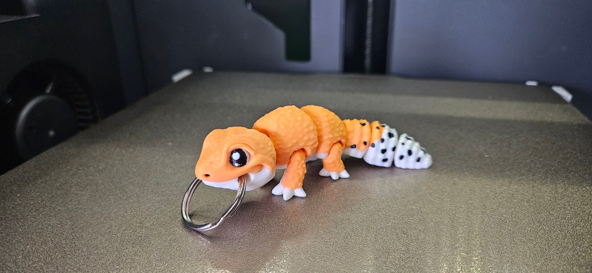 Luipaard Gekko