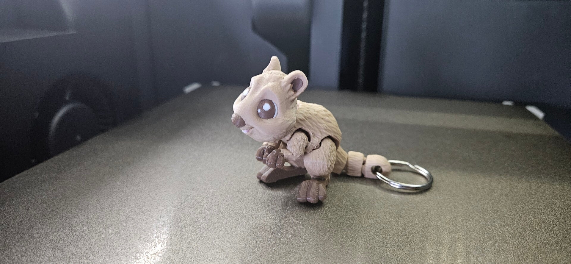 Quokka