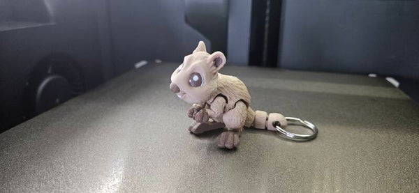 Quokka