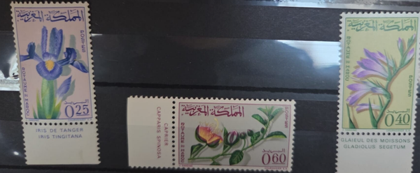 timbre du Maroc- fleurs
