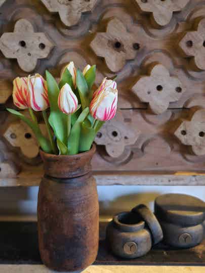 Bosje tulpen middel wit roze(rood)