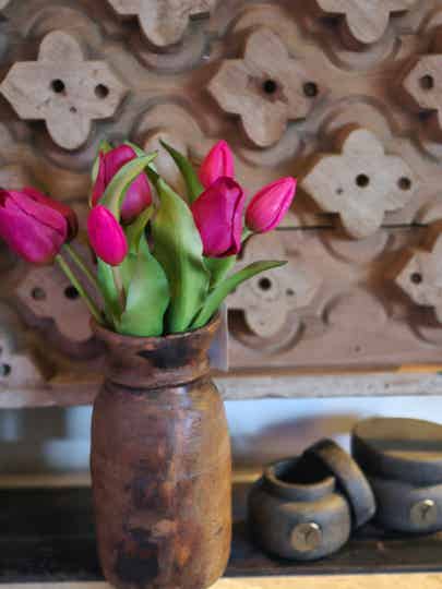 Bosje tulpen middel bordeaux