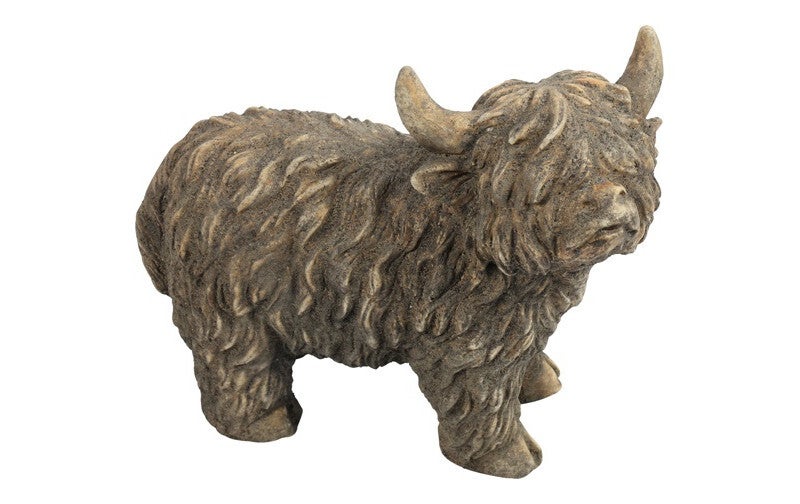 Hooglander m bruin staand