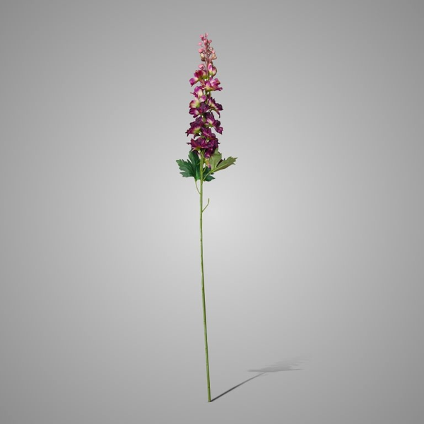 Foto 49 Delphinium Purple