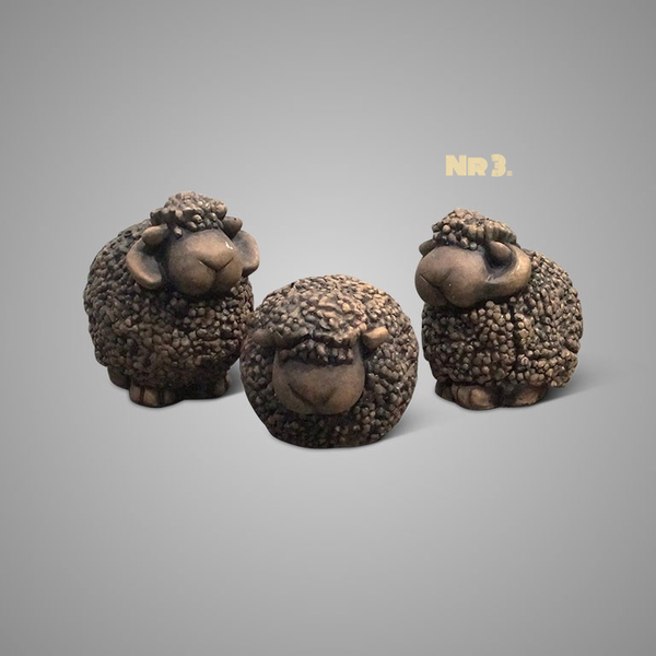 Foto 5 Schaap Nr 3 bruin