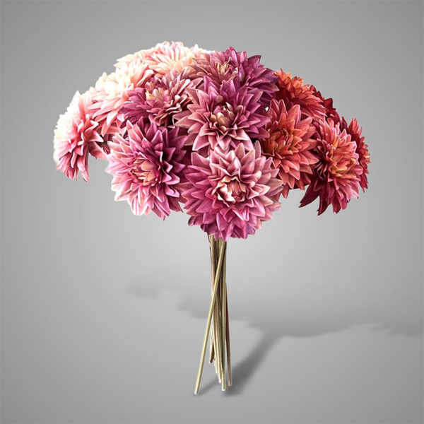 Aster Pinkrange Bundle5 38cm